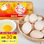 fu.... налог яйцо принцесса .. мандарин Tama .30 шт * трещина гарантия 5 шт содержит [VEG0152] яйцо Ehime префектура Matsuyama город 