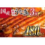 ショッピングうなぎ 国産 ふるさと納税 国産 うなぎ 蒲焼 3尾（無頭）計480g以上 新富町産 鰻 ウナギ 支援 鰻楽 送料無料【C444-30】 宮崎県新富町