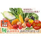 旬の新鮮野菜詰め合わせセット