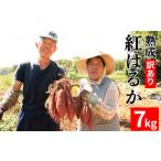 訳あり 熟成 紅はるか 7kg