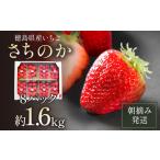 いちご さちのか 約1.6kg