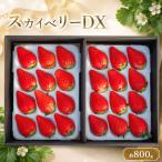 完熟朝摘みスカイベリー DX 800g