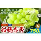 最高級 シャインマスカット 船穂赤秀 750g