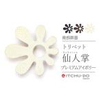 トリベット仙人掌SABOTEN プレミアムアイボリー