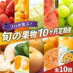 プロが選ぶ 旬の果物 10ヶ月定期便 フルーツ