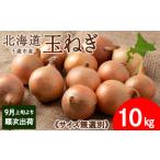 ふるさと納税 玉ねぎ 10kg 無選別サイズ 北海道 千歳市産 甘い たまねぎ 野菜 冷蔵 タマネギ 【假屋フードブリッジ】 北海道千歳市