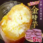 訳あり 京都丹後砂丘育ち にしまる金時芋 5kg