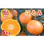はるみ 小玉 5kg
