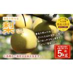 037-1053x2 梨 約5kg