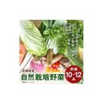 自然栽培野菜 10~12品目 KBE-111