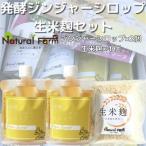 発酵ジンジャーシロップ&生米麹A5-15_調味料