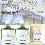 発酵ジェノベーゼソース&生米麹 A3-9_調味料
