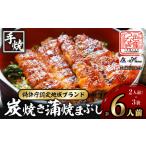 一色産うなぎ 炭焼き 蒲焼まぶし ×3袋 I021-16-1