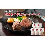 ハンバーグ 阿蘇あか牛 100%