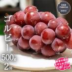 ゴルビー 500g