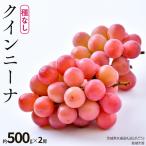 クインニーナ 約500g×約2房 共通返礼品