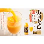 A266 山川みかん ストレートジュース 720ml×3本