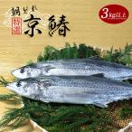 漁連直送 特選京鰆 3kg