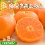 紀州有田産 濃厚完熟 温州みかん 5kg
