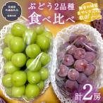 ぶどう 2品種 食べ比べ 各1房ずつ 共通返礼品