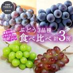 ぶどう 3品種 食べ比べ 各1房ずつ 共通返礼品