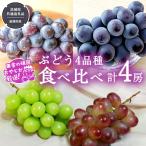 ぶどう 4品種 食べ比べ 各1房ずつ 共通返礼品