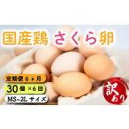ショッピングふるさと納税 定期便 ふるさと納税 定期便 卵 30個 ( たまご 25個 ＋ 割れ補償 5個 ) 6回 6ヶ月 定期便 国産 鶏 さくら 簡易包装 コクのある 濃い 風味 とれたて 生た.. 滋賀県竜王町
