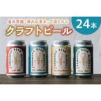 ふるさと納税 127-02 クラフトビール24本セット 鹿児島県南九州市