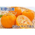 和歌山産ポンカン約5kg サイズ混合 秀優品