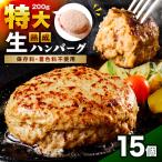 食べ応え抜群 生ハンバーグ 200g