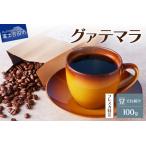 ふるさと納税 【メール便発送】フレスカ特注 グァテマラ（豆100g） コーヒー 豆 珈琲 自家焙煎 セット フレスカ コーヒー 珈琲 山梨県富士吉田市