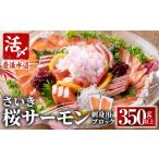 fu.... налог ... Sakura salmon sashimi для блок (350g и больше ) Sakura . нерв затянуть свежая рыба блок sashimi .. море. прямые продажи место Ooita префектура .. город [AS143][.. Ooita префектура .. город 