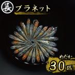 129-15 プラネット オス メス ランダム30匹