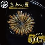 129-20 忘却の翼 オス メス ランダム10匹