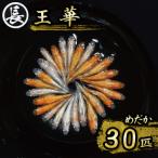 129-24 王華 オス メス ランダム30匹