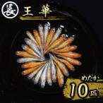 129-26 王華 オス メス ランダム10匹