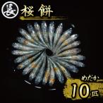 129-33 桜餅 オス メス ランダム10匹