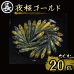 129-28 夜桜ゴールド オス メス ランダム20匹