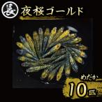 夜桜ゴールド オス メス ランダム10匹 丸長