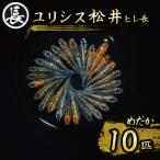 129-32 ユリシス松井ヒレ長 オス メス