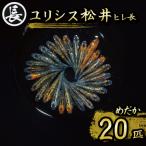 129-31 ユリシス松井ヒレ長 オス メス