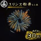 129-30 ユリシス松井ヒレ長 オス メス