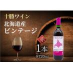ふるさと納税 十勝ワイン 北海道産ビンテージ赤 1本 北海道ワイン ビンテージ 国内ワイン ワイン ワイン ビンテージ 北海道池田町