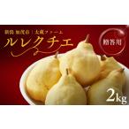 ふるさと納税 【2025年先行予約】新潟特産 「幻の洋梨」ル・レクチェ【贈答用】 2kg(5~7玉)《11月下旬~出荷》 果物 洋梨 梨 フルーツギフト 冬.. 新潟県加茂市