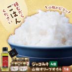 ジャコ 奥出雲山椒ジャコみそ4個セット