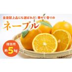 54-12 福島オレンジ農園 減農薬栽培