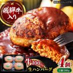 生ハンバーグ4個 ANBO飛騨牛ハンバーグ
