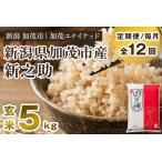 新之助 玄米5kg 5kg×1袋