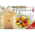 お米 サリークイーン 精米《 農薬不使用 化学肥料不使用