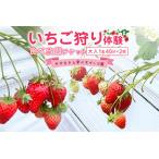 体験チケット やすださん家のスイーツ園